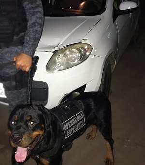 Homem é preso por adulteração de placa de carro em Arapiraca