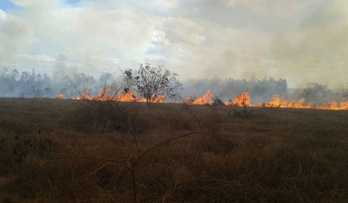 Incêndio em vegetação assusta moradores de povoado em Coité do Nóia