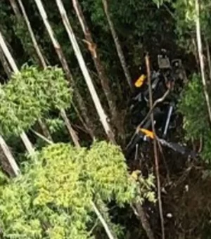 Helicóptero desaparecido há 11 dias é encontrado em região de mata no interior de SP