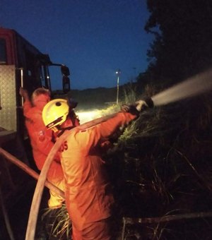 Bombeiros controlam incêndio em vegetação no município de União dos Palmares  