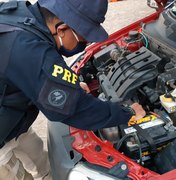 PRF prende motorista com veículo roubado em Palmeira dos Índios 