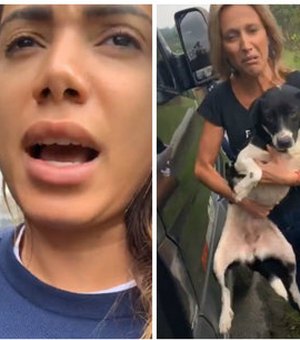 Anitta e Luísa Mell fazem resgate de cachorros abandonados