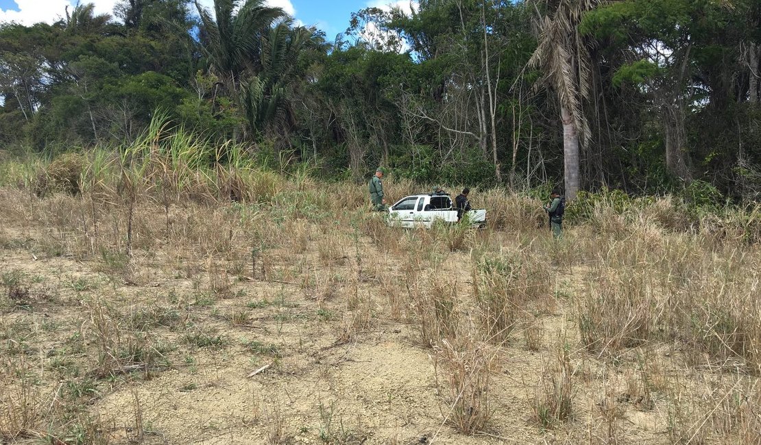 Grupamento aéreo localiza e recupera veículo com queixa de roubo em matagal