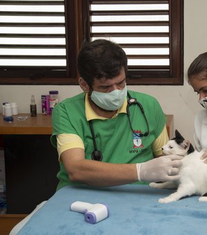 Mais de 100 gatos são vacinados em campanha no bairro do Pinheiro