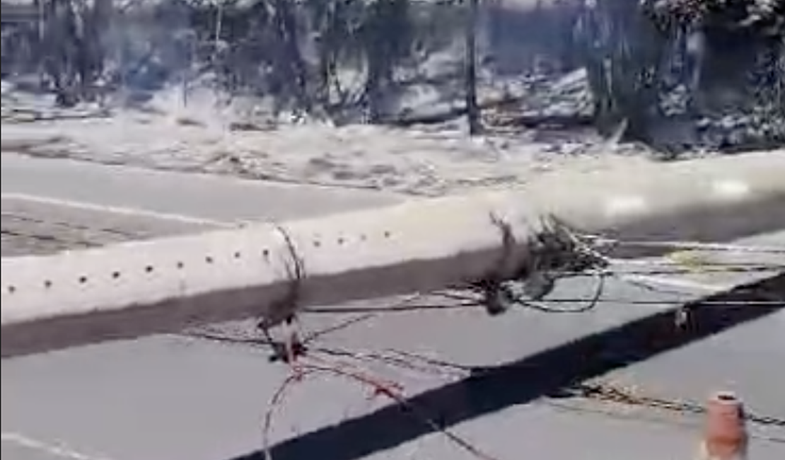 [Vídeo] Incêndio em vegetação atinge postes e interdita trecho da AL-101 Norte, em Maceió