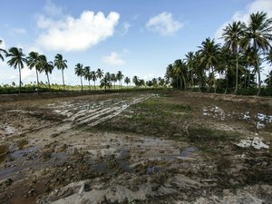 FPI flagra cultivo de camarões em área de proteção ambiental e áreas desmatadas