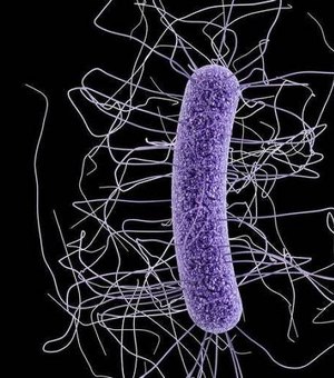 Uso de antibióticos na pandemia fez triplicar o número de 'superbactérias', diz Fiocruz