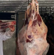 Exportação brasileira de carne bovina sobe 24% no 1º semestre