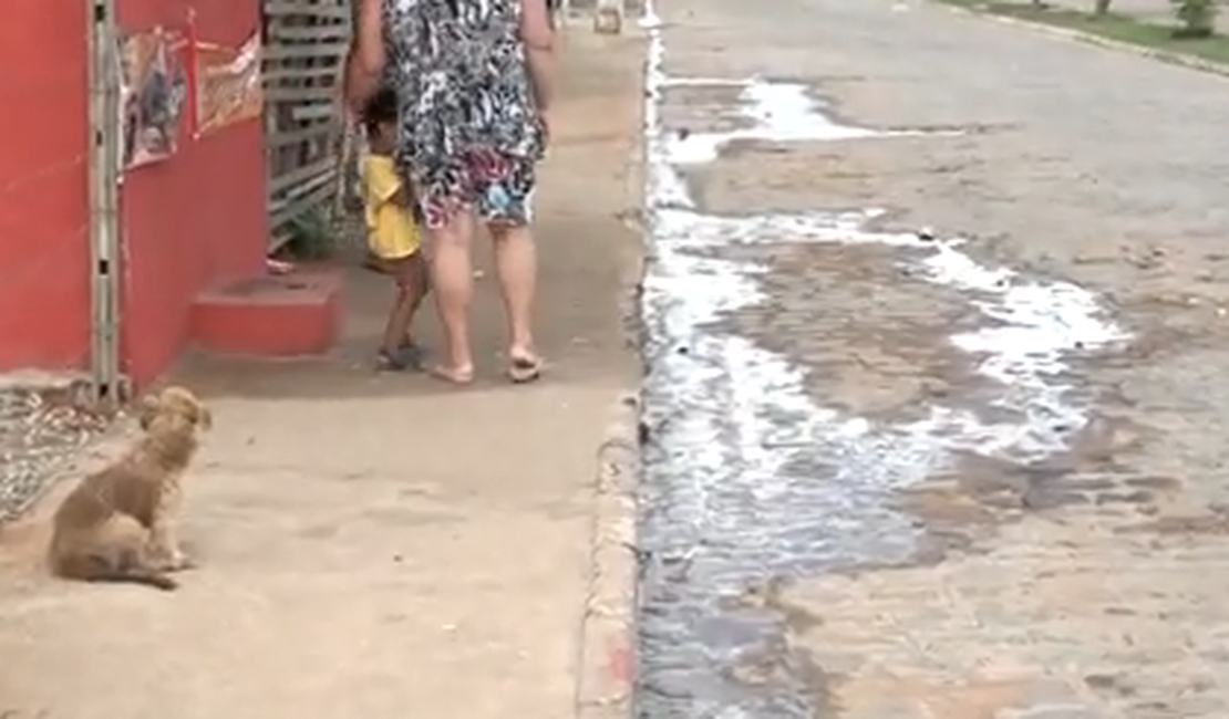 [Vídeo] Moradores de residencial em Arapiraca denunciam desperdício de água e esgoto estourado