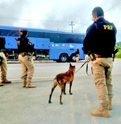 Operação policial detém 35 pessoas por tráfico de drogas em AL, PE e BA