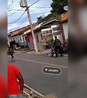 [Vídeo] Touro e vaca caem dentro de residência em Jacuípe