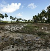 FPI flagra cultivo de camarões em área de proteção ambiental e áreas desmatadas
