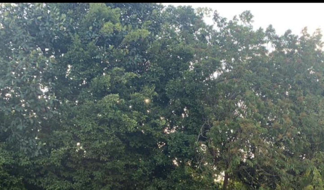 Operação apreende 12 motocicletas no Jardim Petrópolis e Chã de Jaqueira