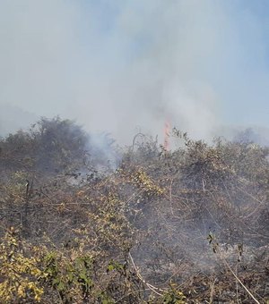 Incêndios no Pantanal motivam estado de emergência em 14 cidades em MS