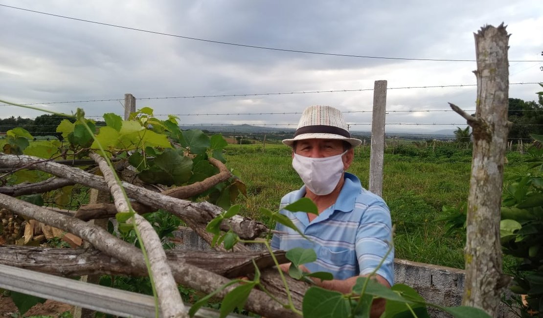 [Video] Policial da reserva apaixonado por uvas aposta no cultivo de videira em Arapiraca