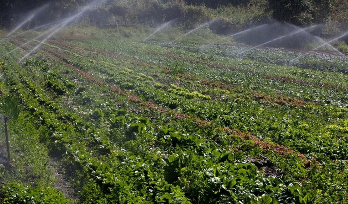 Agricultura usa 92% da água doce do planeta