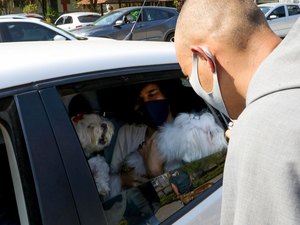 Latam suspende venda de transporte de pets no porão das aeronaves