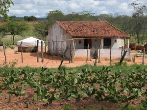 Agricultores familiares inscritos no Programa Nacional do Crédito Fundiário podem quitar dívidas da União