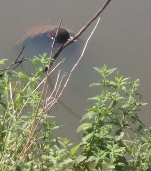 Homem morre afogado em rio do município de Jacuípe