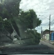 Árvore cai no bairro Santa Lúcia e deixa trânsito lento em avenida