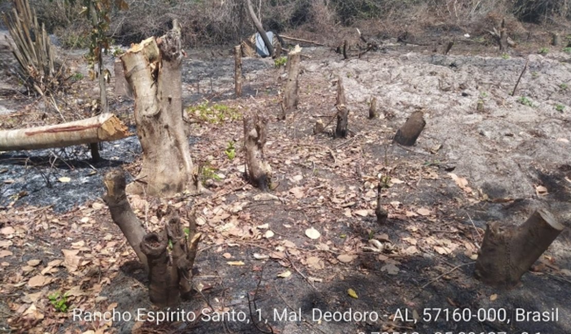 Batalhão de Polícia Ambiental flagra crimes ambientais em Marechal Deodoro