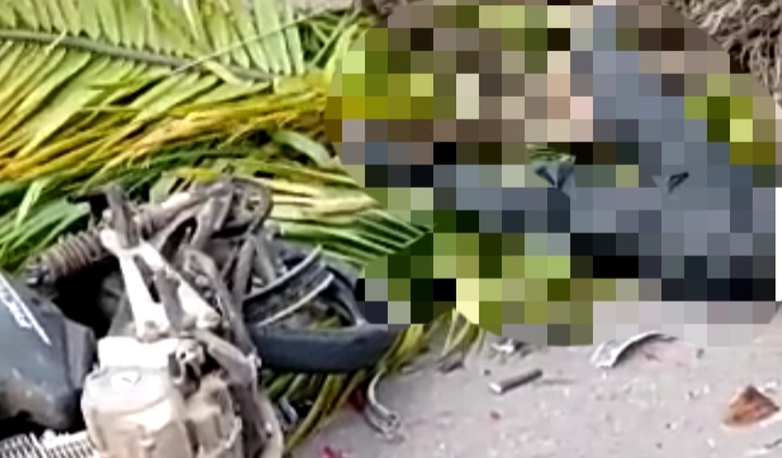 Palmeira cai em cima de motociclista na Santa Amélia em Maceió