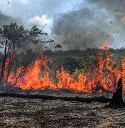 Temporada de incêndios florestais ameaça sistemas de saúde sobrecarregados por covid