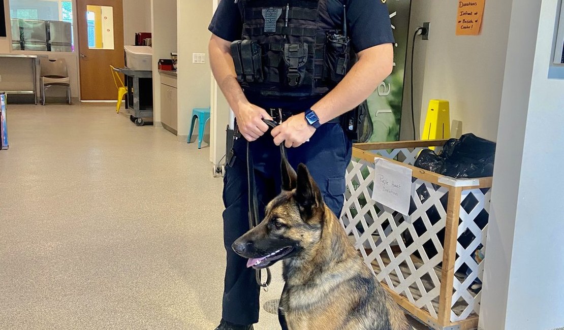 Filhote é resgatado de abrigo e se torna cão policial na Pennsylvania