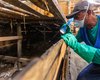 Mercado da Produção e feiras recebem serviços de desratização e dedetização