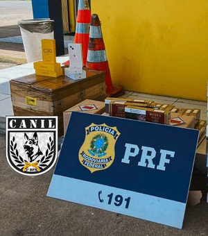 PM e PRF flagram ônibus com contrabando na BR-101, em São Sebastião