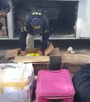 [Vídeo] Mulher é presa com mais de 200 kg de maconha em ônibus clandestino em São Sebastião