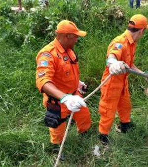Corpo de Bombeiros resgata cão que caiu em buraco, em Arapiraca