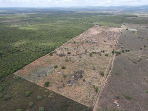 Operação flagra e embarga 700 hectares de desmatamento no bioma Caatinga