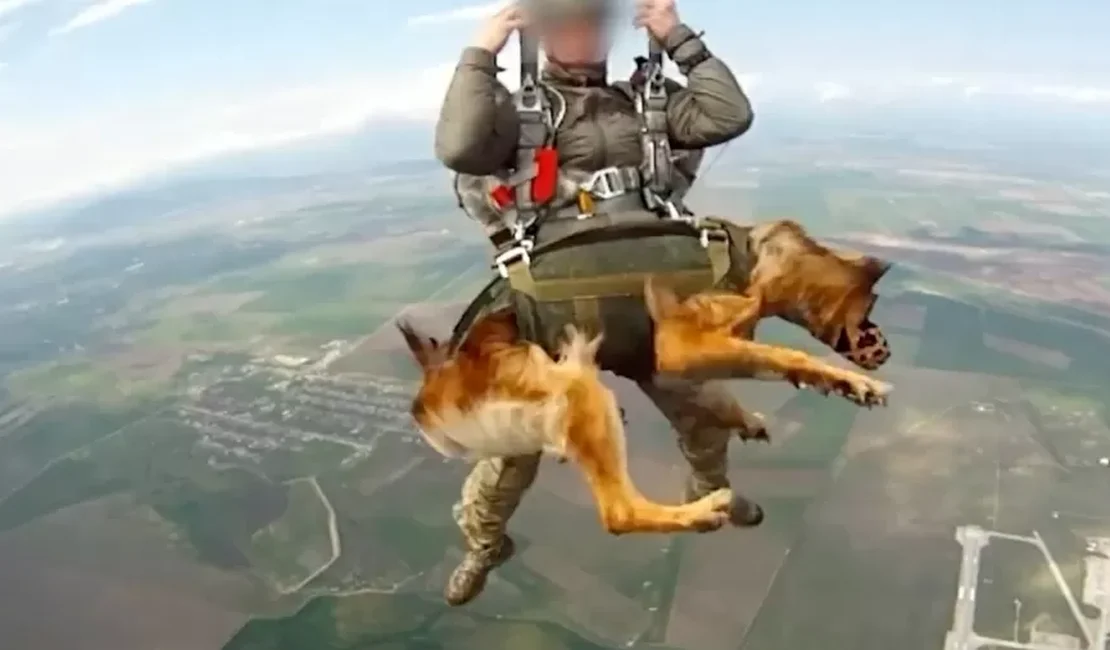 Exército de Putin treina cães paraquedistas e faz saltos de 4 mil metros