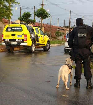 Operação prende acusados de homicídios e tráfico de drogas, em Arapiraca