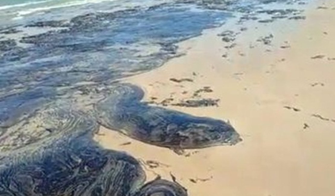 Marinha e PF confirmam que óleo nas praias do Nordeste é da Venezuela