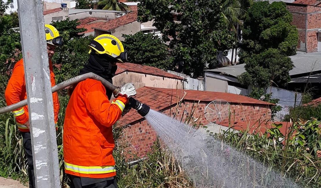 Maragogi: Bombeiros combatem incêndio em área de vegetação 