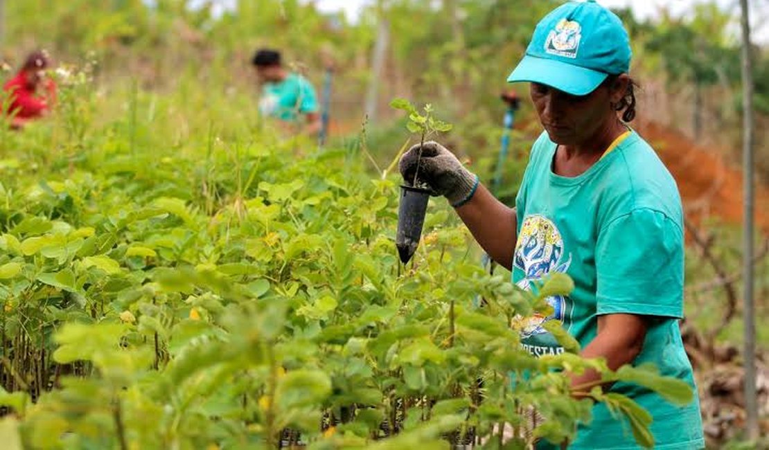 Alagoas teve o menor índice de sindicalização do país em 2019