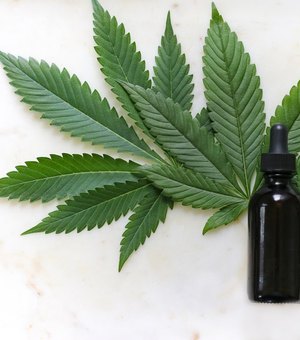Anvisa libera venda de produtos à base de cannabis em farmácias