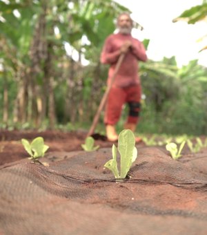 Reaproveitamento de geobags por agricultores em Arapiraca é finalista em 'oscar' do saneamento