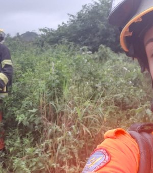 Árvore cai e deixa uma pessoa morta na cidade Rio Largo 