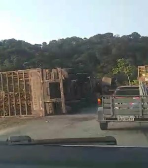 Caminhão tomba em São Luís do Quitunde