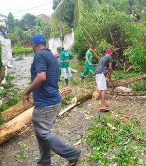 [Vídeo] Após fortes chuvas em Penedo, prefeitura mobiliza Defesa Civil e secretarias para fazer reparos
