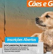 Cães e gatos serão castrados pelo Complexo Multidisciplinar Tarcizo Freire