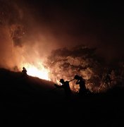 Incêndio atinge mata fechada e pasto de fazenda em União dos Palmares