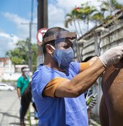 Ação vacina cerca de 50 equinos no bairro de Bebedouro