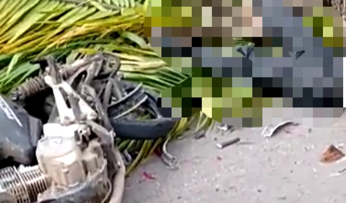 Palmeira cai em cima de motociclista na Santa Amélia em Maceió
