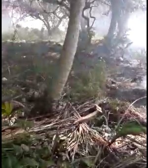 Incêndio em vegetação chega perto de residências em Japaratinga