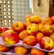 Unidade da maçã agora custa R$ 1,25 em Maragogi