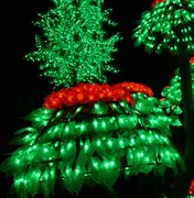 Prefeitura de Maceió ilumina árvore de Natal no Corredor Vera Arruda